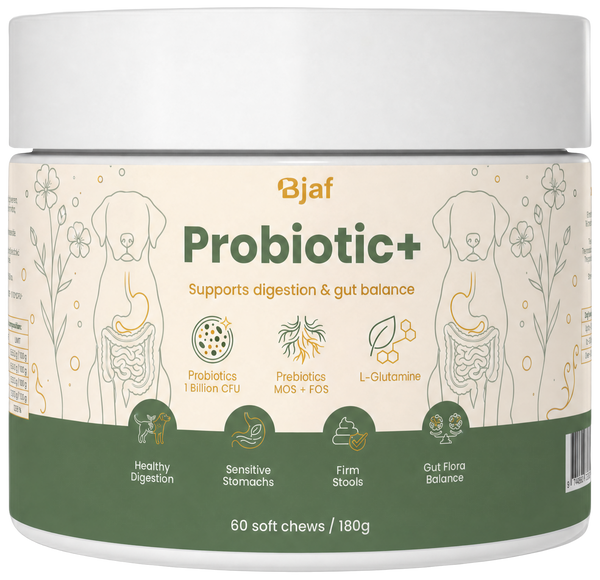 Bjaf Probiotika+, boks
